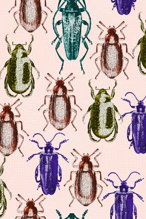 大牌风印花华亿平台图片