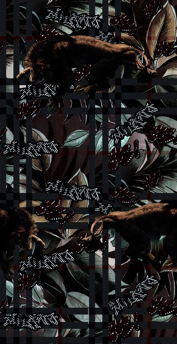 1222639-狮子格子2