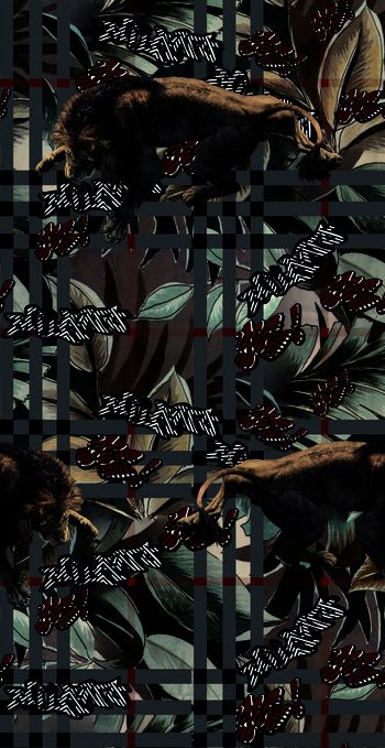 1222642-狮子格子3