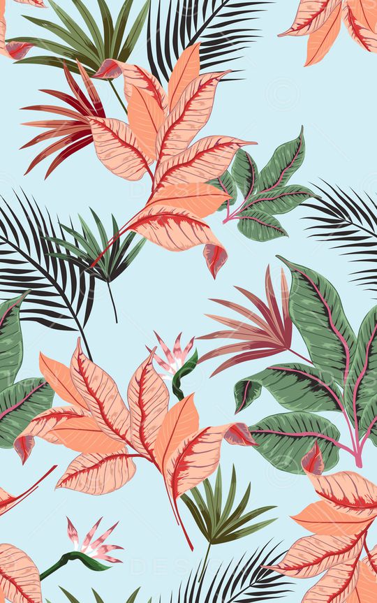 大牌风印花华亿平台图片