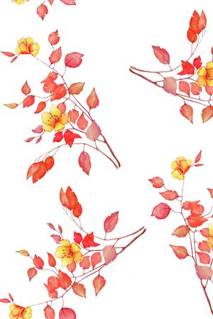 春夏华亿平台印花华亿平台图片