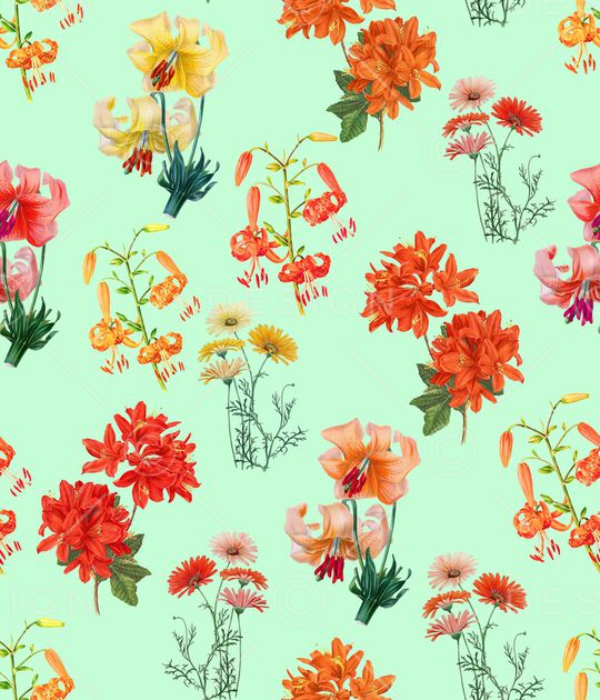 女装印花华亿平台图片