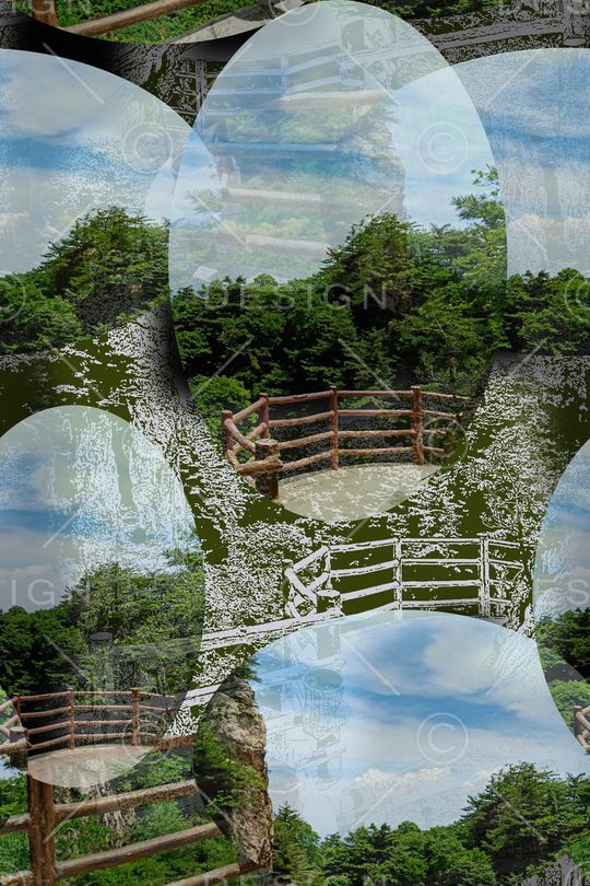 男装休闲花卉印花华亿平台图片