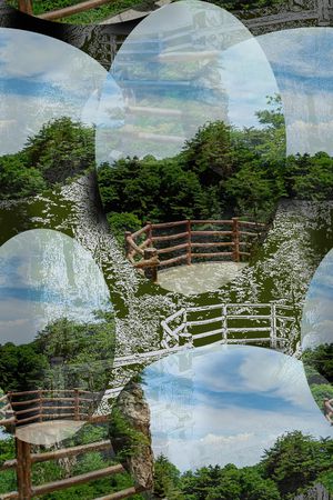 男装休闲花卉印花华亿平台图片