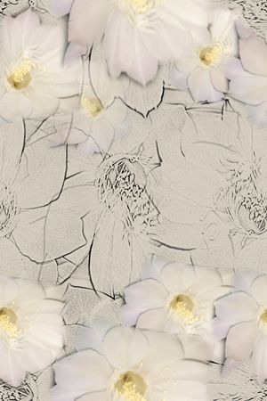 植物印花华亿平台图片