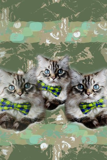 1222914-190617-gxzp-12-0