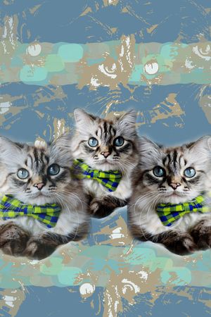 动物印花华亿平台图片