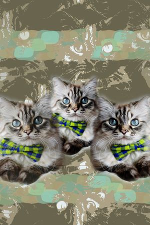 动物印花华亿平台图片