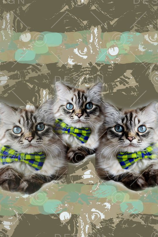 动物印花华亿平台图片