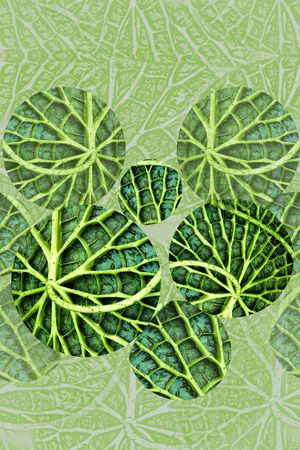 植物印花华亿平台图片