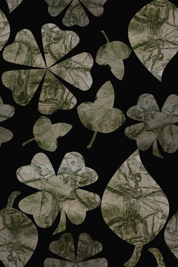 1222936-190617-gxzp-17-0