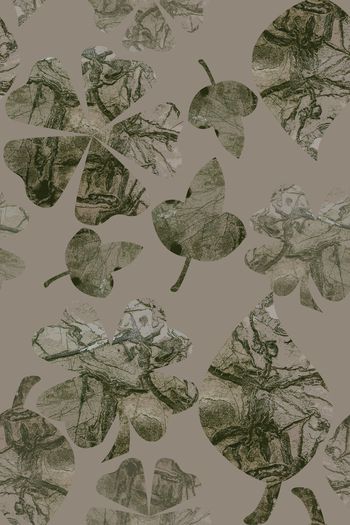 1222937-190617-gxzp-17-2