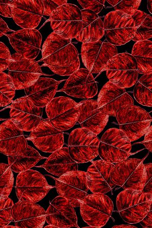 肌理印花华亿平台图片