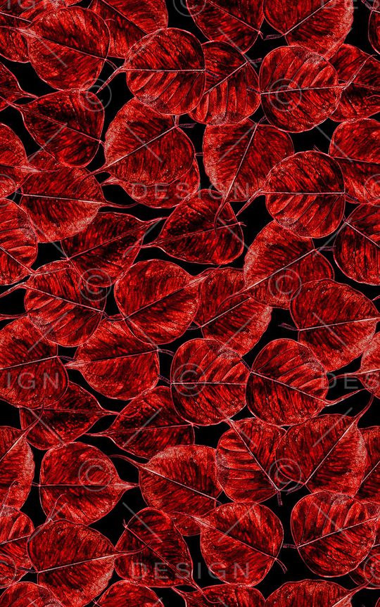 肌理印花华亿平台图片