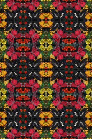 蝴蝶印花华亿平台图片