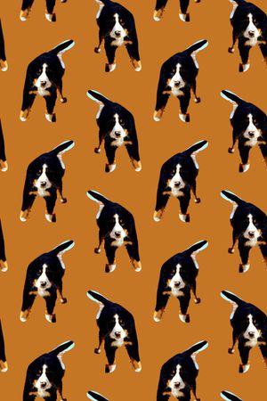 女装印花华亿平台图片