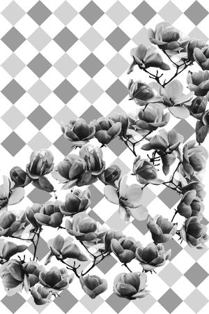 数码华亿平台印花华亿平台图片