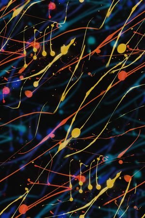 黑底花卉印花华亿平台图片