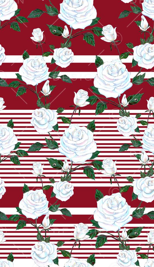 黑白条纹印花华亿平台图片