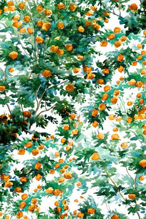 手绘玫瑰印花华亿平台图片