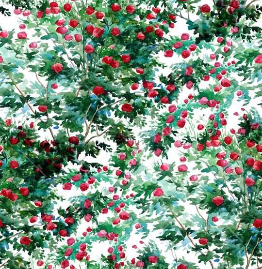 手绘玫瑰印花华亿平台图片