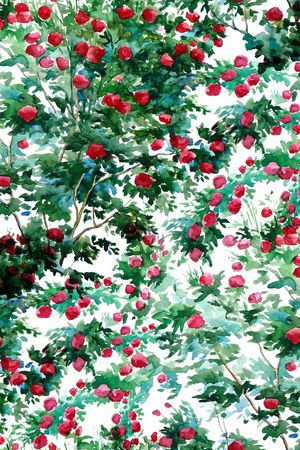 手绘玫瑰印花华亿平台图片