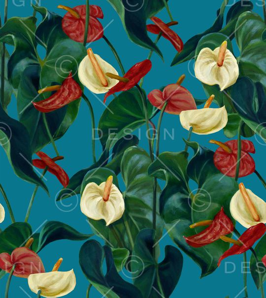 马蹄莲印花华亿平台图片