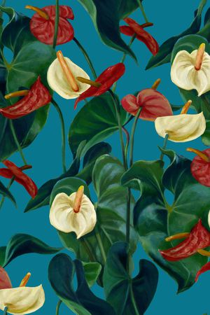 马蹄莲印花华亿平台图片