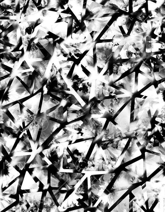 时尚印花华亿平台图片