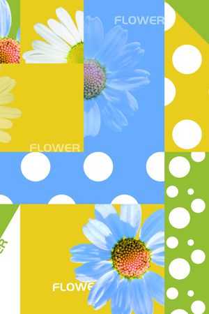 格子印花华亿平台图片