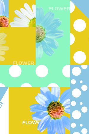 格子印花华亿平台图片