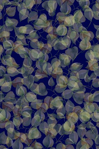 1224101-2019-06-19-A1