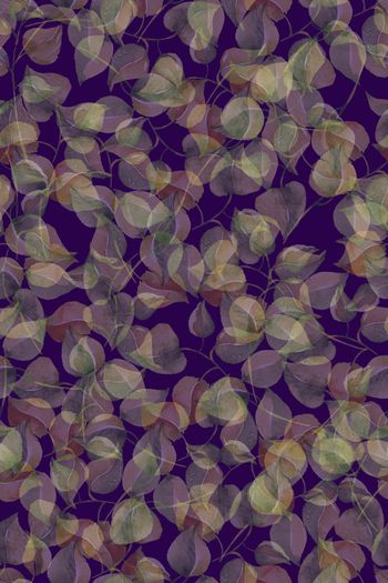 1224102-2019-06-19-b1