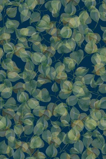 1224104-2019-06-19-C1