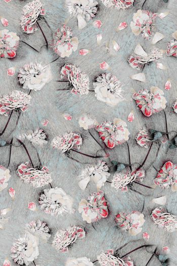 1224243-WX-190615-01-01