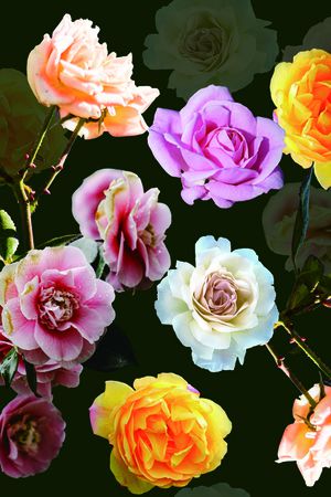 花卉印花华亿平台图片