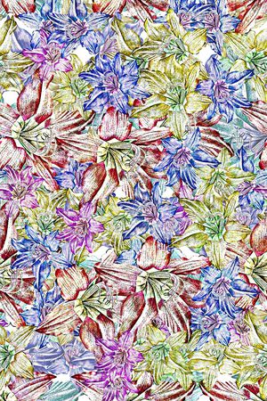 女装印花华亿平台图片