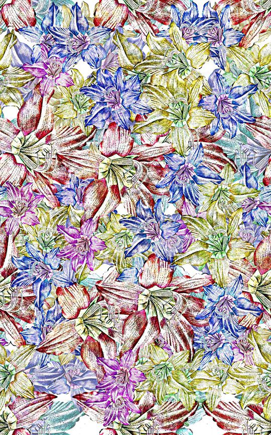 女装印花华亿平台图片