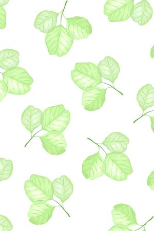 手绘绿叶子印花华亿平台图片