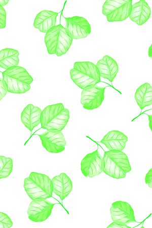 手绘绿叶子印花华亿平台图片