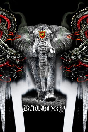 字母印花华亿平台图片