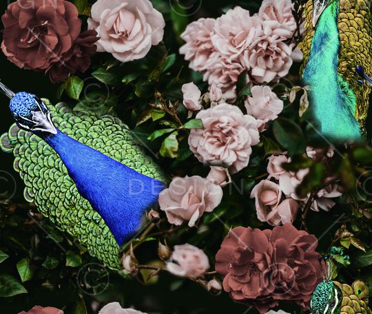 凤凰印花华亿平台图片