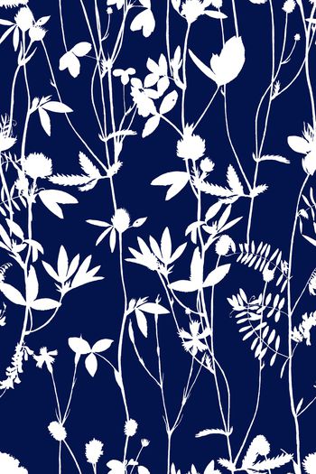 1225616-2019-06-24-A1