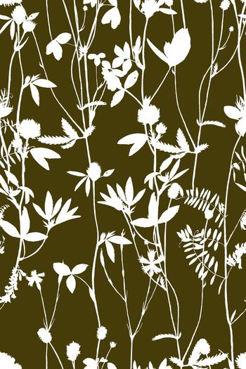 1225622-2019-06-24-B1