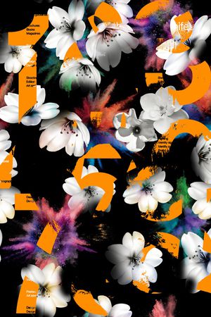 字母印花华亿平台图片