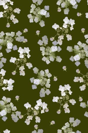 女装印花华亿平台图片