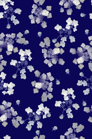 女装印花华亿平台图片