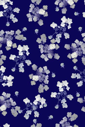 1226271-2019-06-25-B1