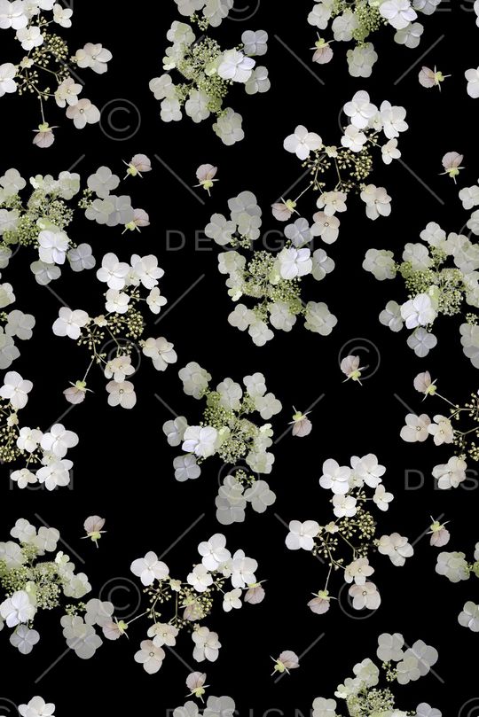 女装印花华亿平台图片