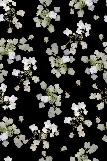 1226274-2019-06-25-A1